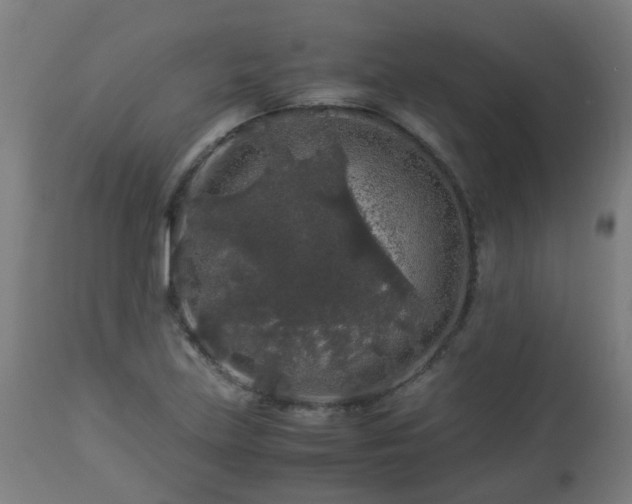 X0000112881219200908281629