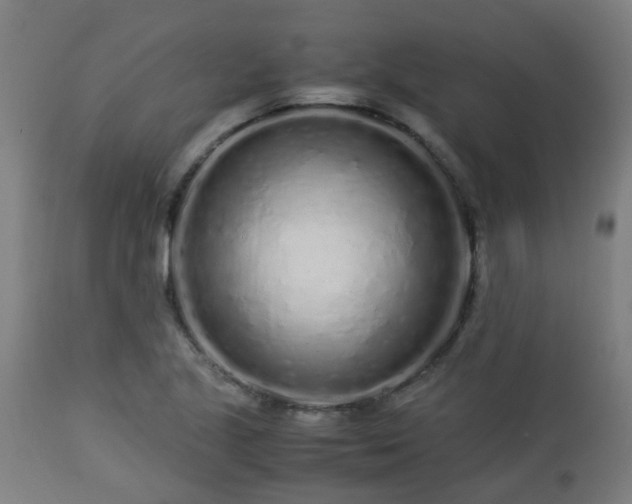 X0000112881221200908281629