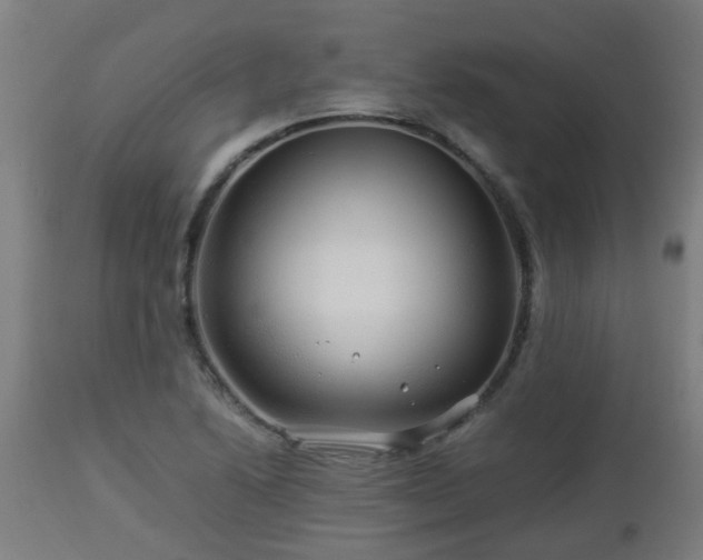 X0000112881222200908281629