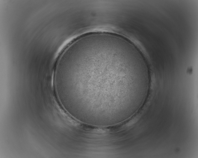 X0000112881224200908281629