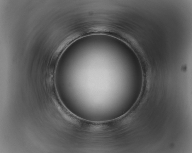 X0000112881225200908281629