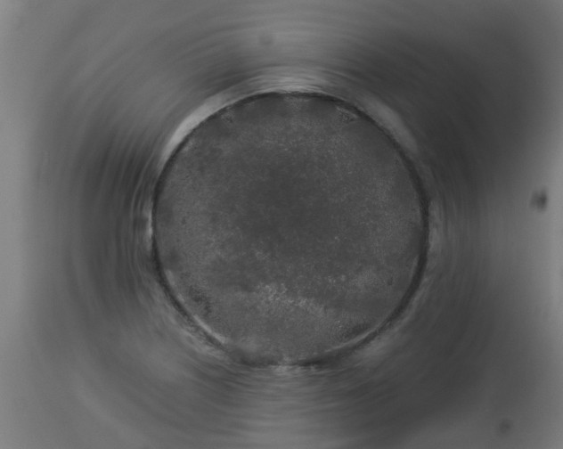 X0000112881226200908281629