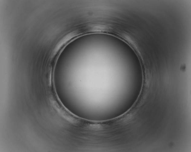 X0000112881227200908281629