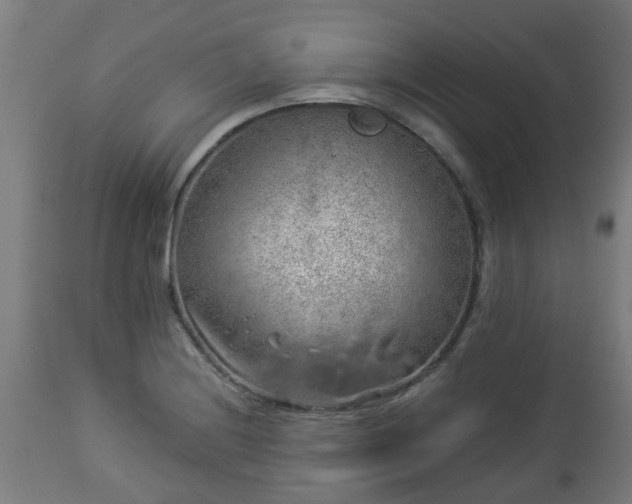 X0000112881228200908281629