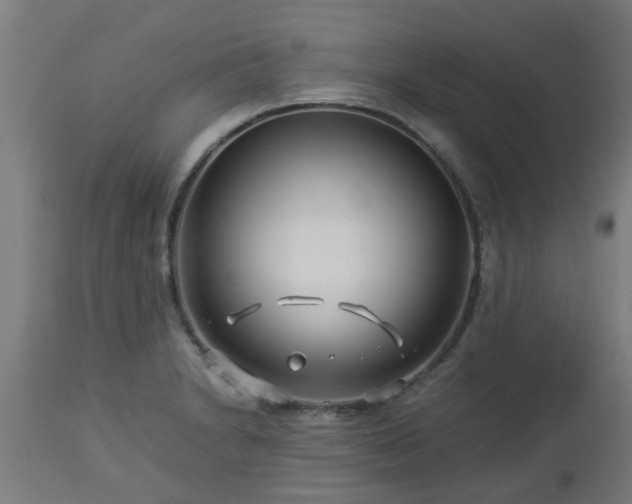 X0000112881230200908281629