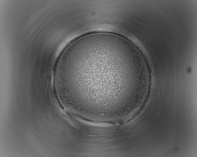 X0000112881232200908281629