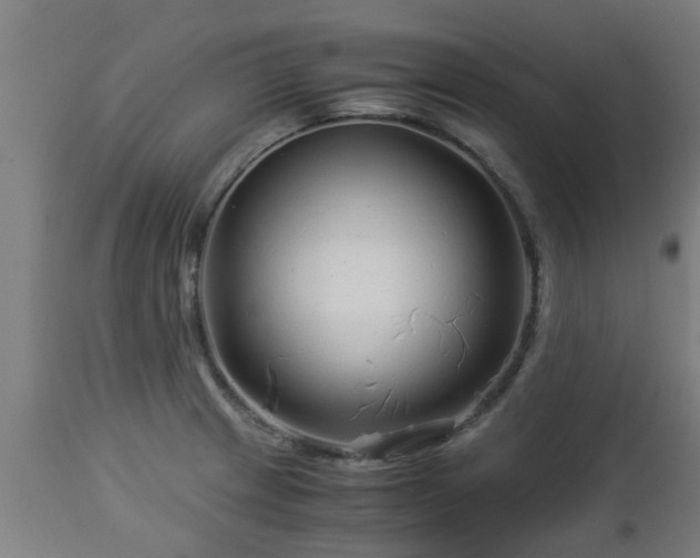 X0000112881233200908281629