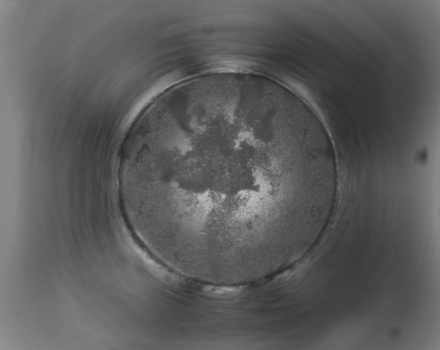 X0000112881235200908281629