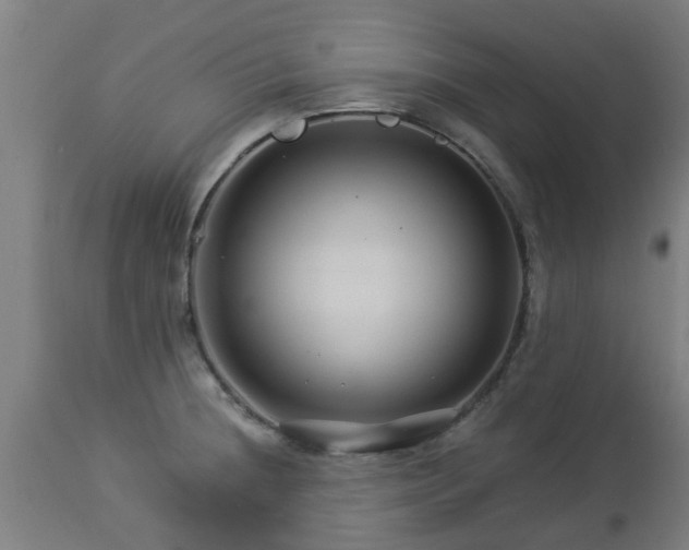 X0000112881236200908281629