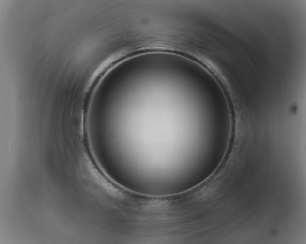 X0000112881238200908281629