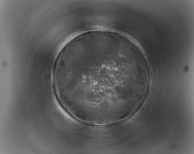 X0000112881239200908281629