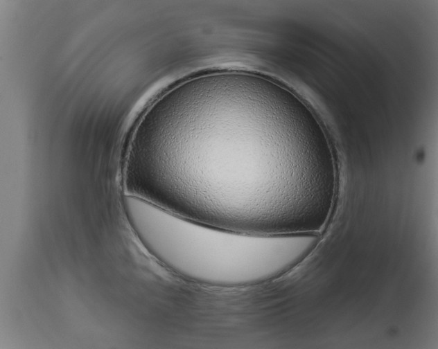 X0000112881240200908281629