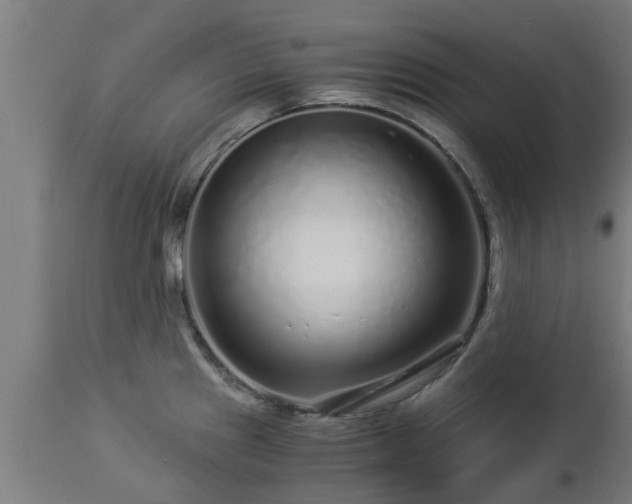 X0000112881241200908281629