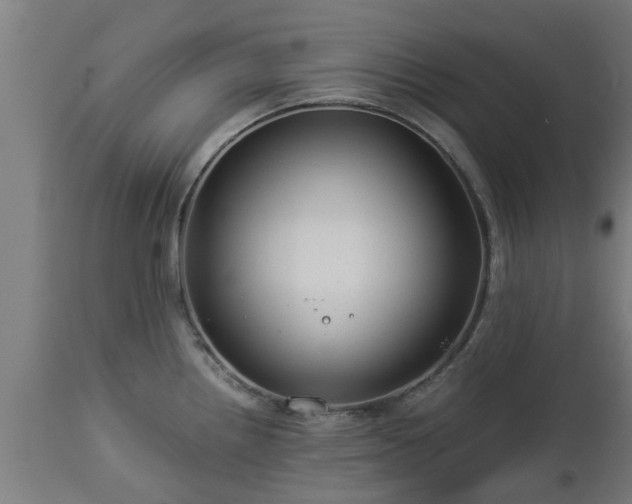 X0000112881242200908281629