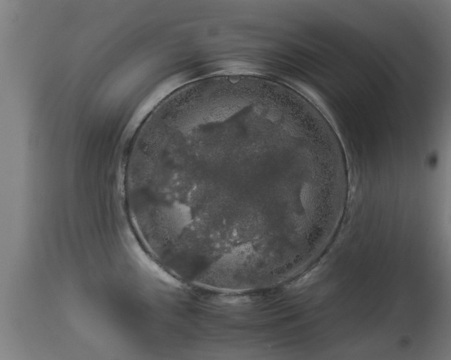 X0000112881243200908281629