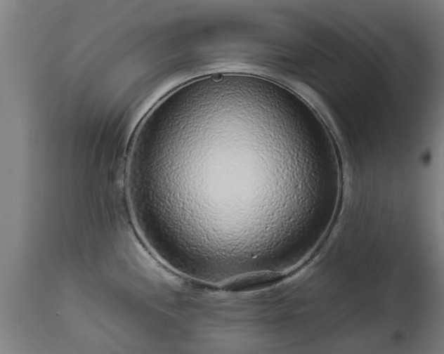 X0000112881244200908281629