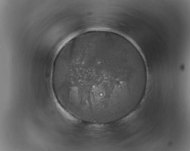 X0000112881245200908281629