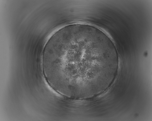 X0000112881247200908281629