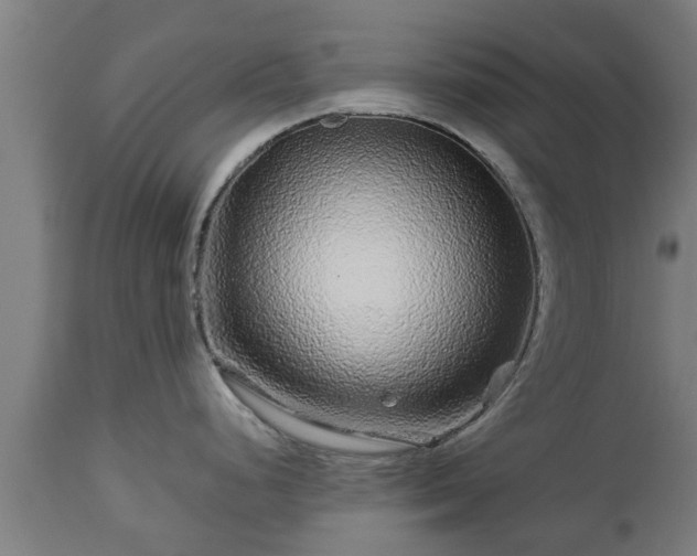 X0000112881248200908281629