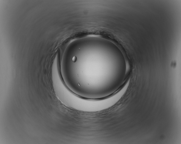 X0000112881249200908281629