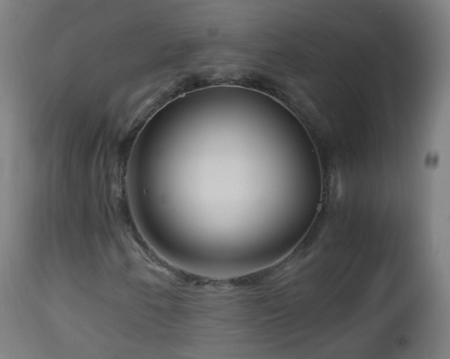 X0000112881250200908281629