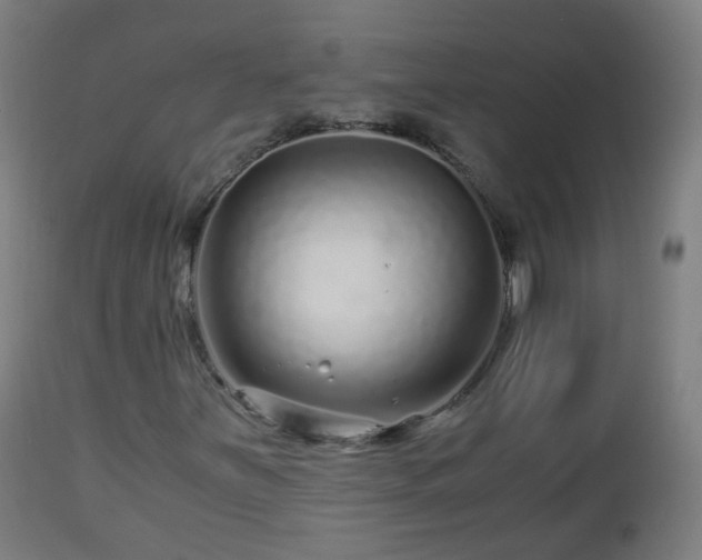 X0000112881251200908281629