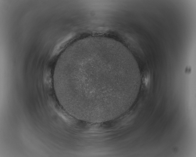 X0000112881252200908281629