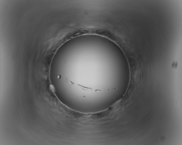 X0000112881253200908281629