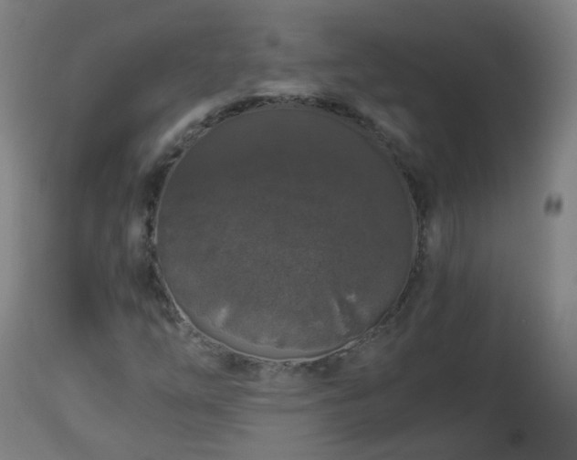 X0000112881254200908281628