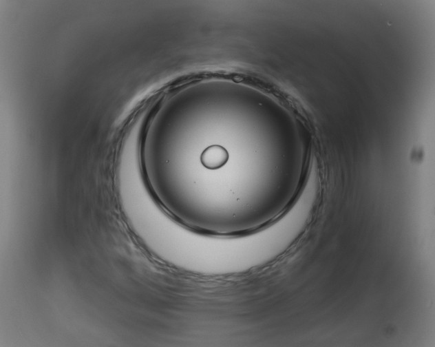 X0000112881256200908281628