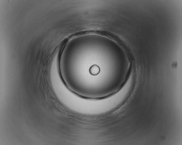 X0000112881257200908281628