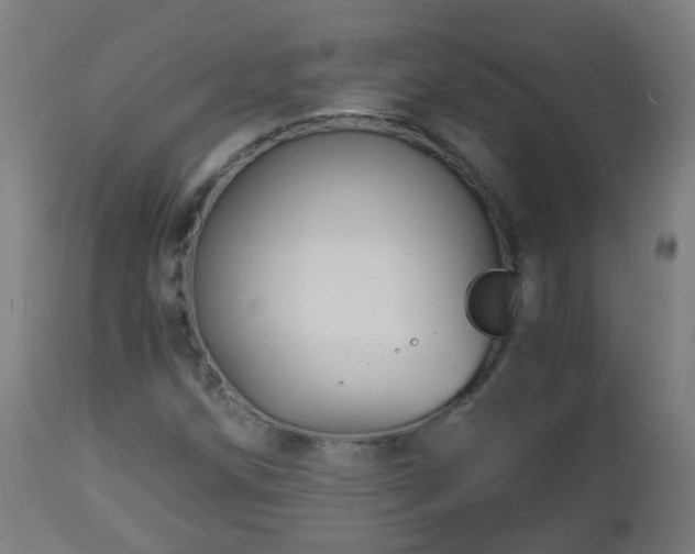 X0000112881258200908281628