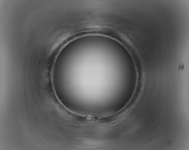 X0000112881259200908281628