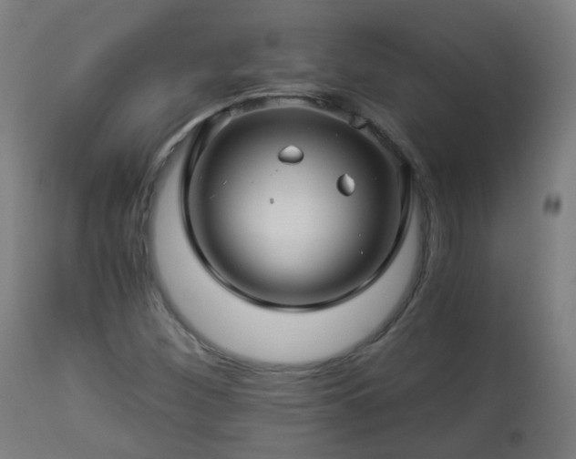 X0000112881260200908281628