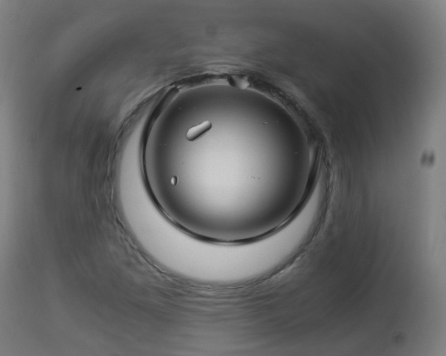 X0000112881261200908281628