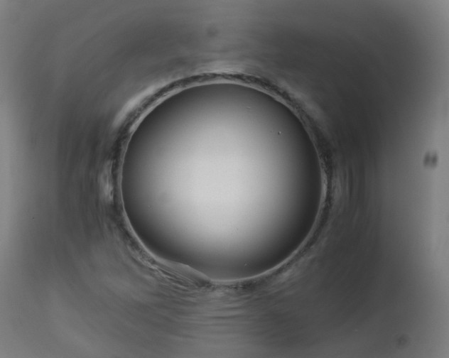 X0000112881262200908281628