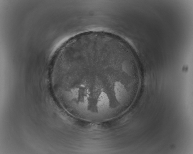 X0000112881263200908281628