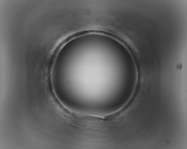 X0000112881264200908281628