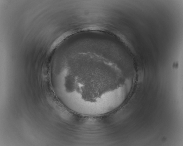 X0000112881266200908281628