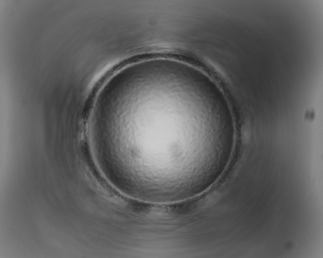 X0000112881267200908281628