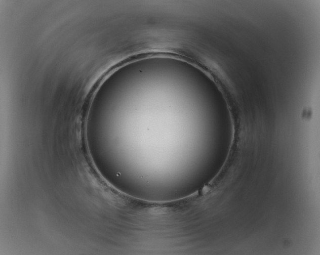 X0000112881268200908281628