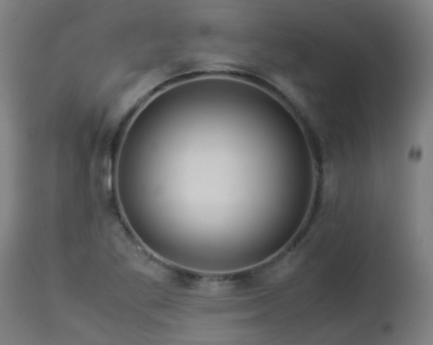 X0000112881269200908281628