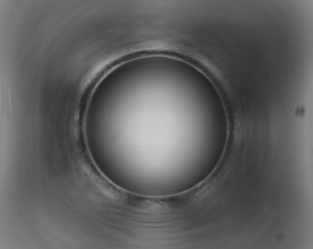 X0000112881270200908281628