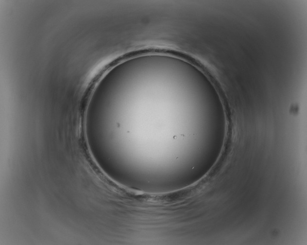 X0000112881271200908281628