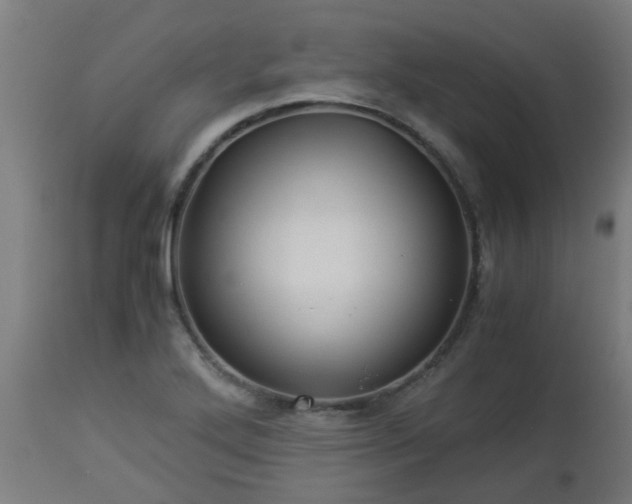 X0000112881272200908281628