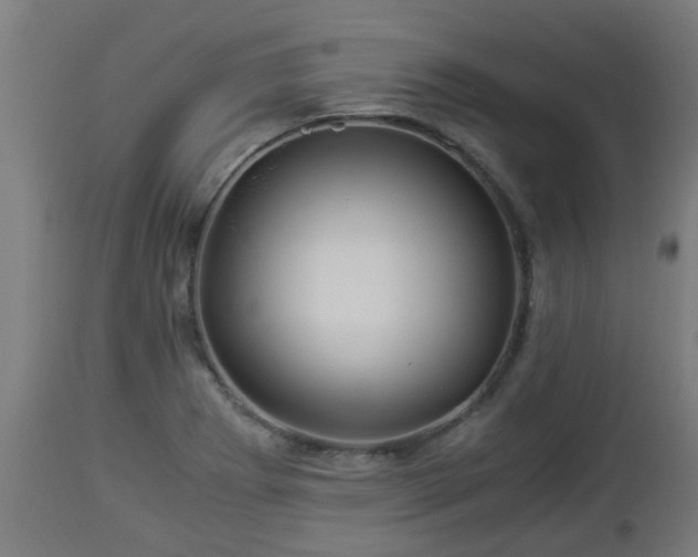 X0000112881273200908281628