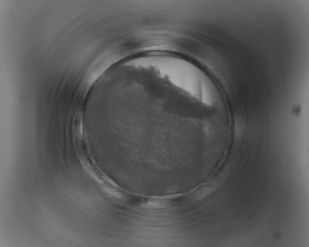 X0000112881274200908281628