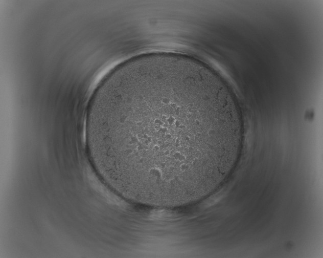 X0000112881275200908281628