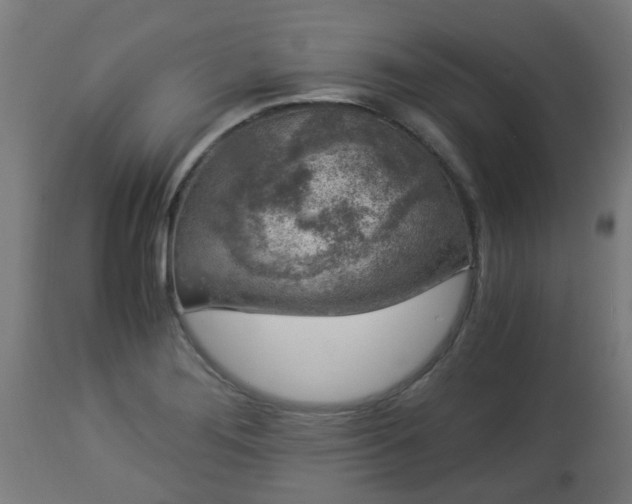 X0000112881276200908281628