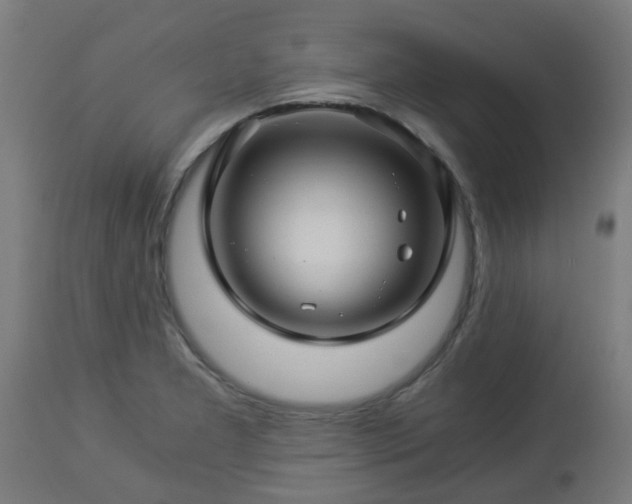 X0000112881277200908281628